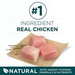 Purina ONE Large Breed Puppy Dry Food - 40 lbs