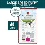Purina ONE Large Breed Puppy Dry Food - 40 lbs