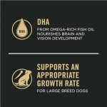 Purina Pro Plan Large Breed Puppy Food - 10.9 kg