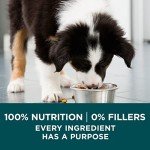 Purina ONE Large Breed Puppy Dry Food - 40 lbs