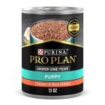 Purina Pro Plan Puppy Chicken & Rice Wet Food