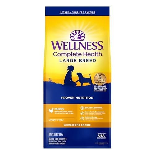 Wellness