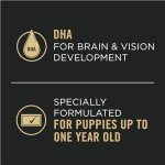 Purina Pro Plan Puppy Chicken & Rice Wet Food