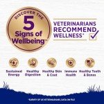 Wellness Complete Natural Dry Dog Food