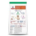 Hill's Science Diet Large Breed Puppy Food
