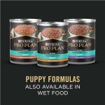 Purina Pro Plan Large Breed Puppy Food - 10.9 kg