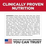 Hill's Science Diet Large Breed Puppy Food