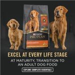 Purina Pro Plan Puppy Chicken & Rice Wet Food