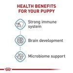 Royal Canin X-Small Puppy Dry Dog Food, 3 lbs