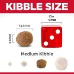 Hill's Science Diet Large Breed Puppy Food