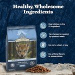 Blue Buffalo Wilderness High-Protein Puppy Food, 4.5 lb