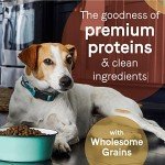 CANIDAE PURE Wholesome Grains Puppy Dog Food