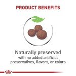 Royal Canin Medium Puppy Dry Dog Food 6lb