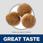 Hill's Science Diet Puppy Sensitive Stomach Dry Food