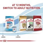 Royal Canin Medium Puppy Dry Dog Food 6lb