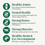 NUTRO NATURAL CHOICE Large Breed Puppy Kibble 30 lb