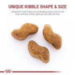 Royal Canin Bulldog Puppy Dry Food, 13.6 kg