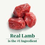 NUTRO NATURAL CHOICE Large Breed Puppy Kibble 30 lb