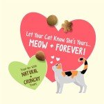 Friskies Party Mix Catnip Flavor Treats - 20 oz