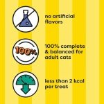 Temptations ShakeUps Cat Treats - Crustacean Flavor