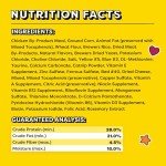 Temptations Catnip Fever Crunchy & Soft Treats