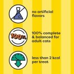 Tasty Chicken Flavor Cat Treats, 16 Ounce