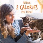 Fruitables Crunchy Cat Treats with Tuna & Pumpkin