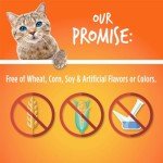 Fruitables Crunchy Cat Treats with Tuna & Pumpkin