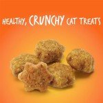 Fruitables Crunchy Cat Treats with Tuna & Pumpkin