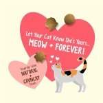 Purina Friskies Natural Cat Treats with Salmon