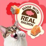 Purina Friskies Natural Cat Treats with Salmon