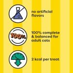 Jumbo Crunchy and Soft Chicken Cat Treats