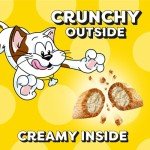Jumbo Crunchy and Soft Chicken Cat Treats