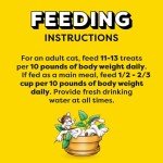 Temptations Cat Treats with Catnip Flavor, 16 oz