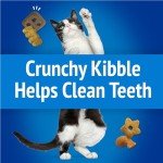 Friskies Party Mix Beachside Crunch Cat Treats 30oz
