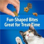 Friskies Party Mix Beachside Crunch Cat Treats 30oz