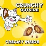 Savory Salmon TEMPTATIONS Cat Treats, 16 oz