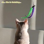 Interactive Cat Wand and Feather Toy Refills