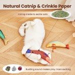Interactive Catnip Crinkle Fish Toys - 3 Pack