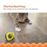 Lil' Avocato Cat Chew Toy for Dental Health