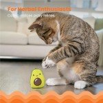 Lil' Avocato Cat Chew Toy for Dental Health