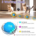 Interactive Chirping Cat Toy Ball in Pouch