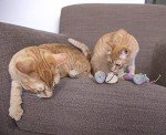 SmartyKat Skitter Critters Catnip Toy Set, 10pcs