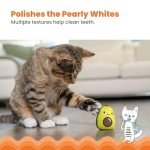 Lil' Avocato Cat Chew Toy for Dental Health