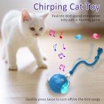 Chirping Interactive Toy Ball for Indoor Cats