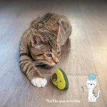 Lil' Avocato Cat Chew Toy for Dental Health