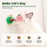 Catnip Balls for Cats - 4 Pack