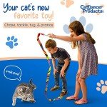 Interactive Charmer Cat Toy by Cat Dancer