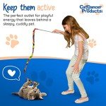 Interactive Charmer Cat Toy by Cat Dancer