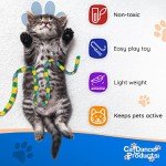 Interactive Charmer Cat Toy by Cat Dancer